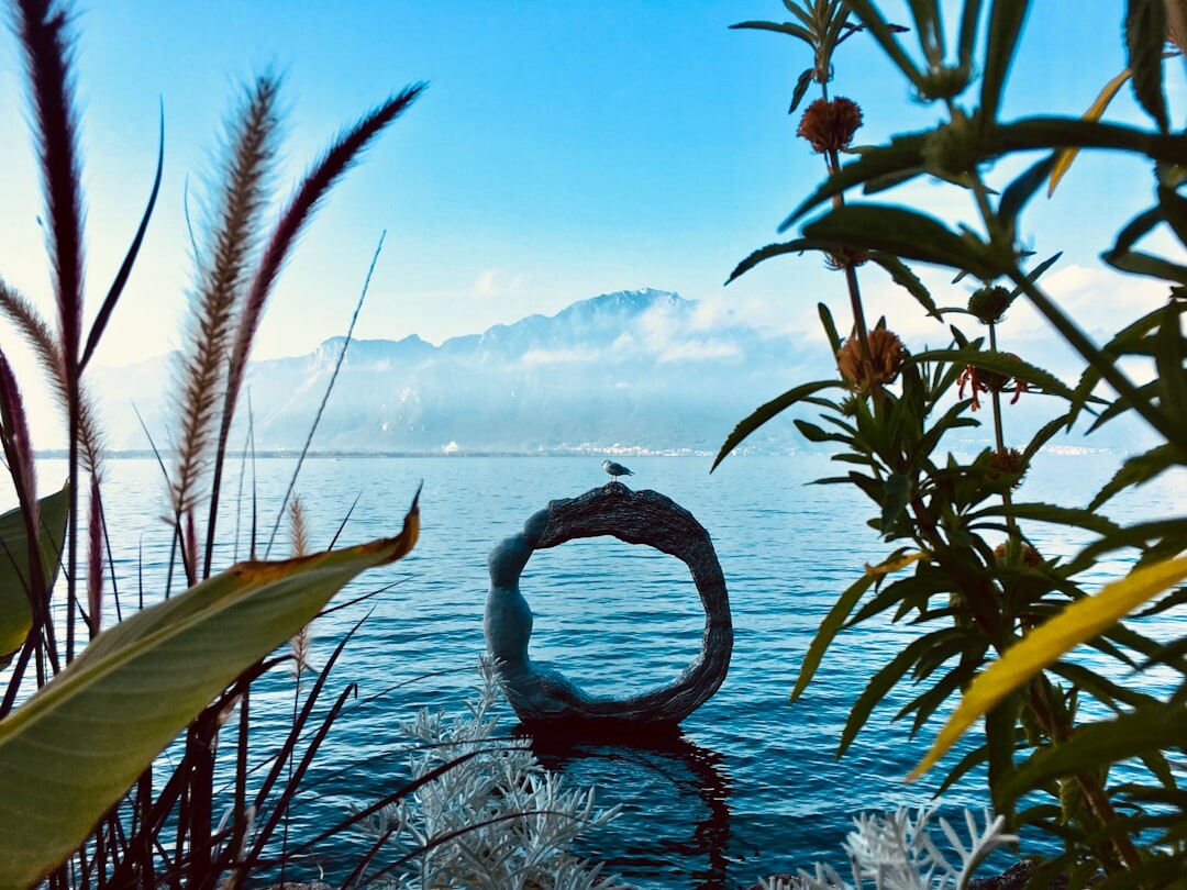 Vue du lac Léman et des montagnes près de Montreux au coucher du soleil